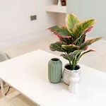 Charming Granby Flat 해러게이트
